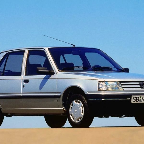 Manual De Despiece Peugeot 309 (1985-1994) Español