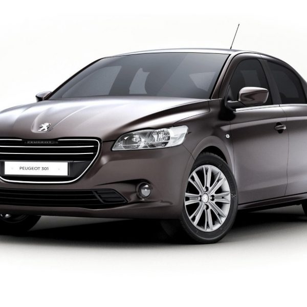 Manual De Despiece Peugeot 301 (2012-2018) Español
