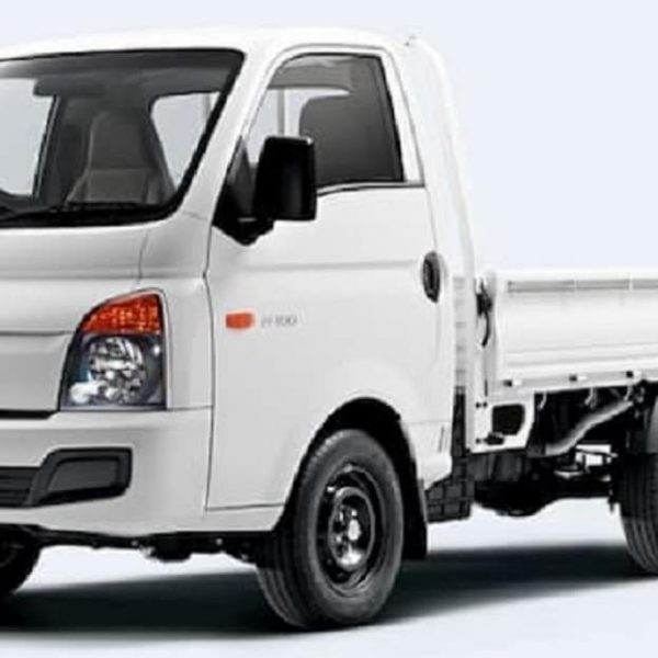 Manual De Despiece Hyundai H100 (2004-2019) Español