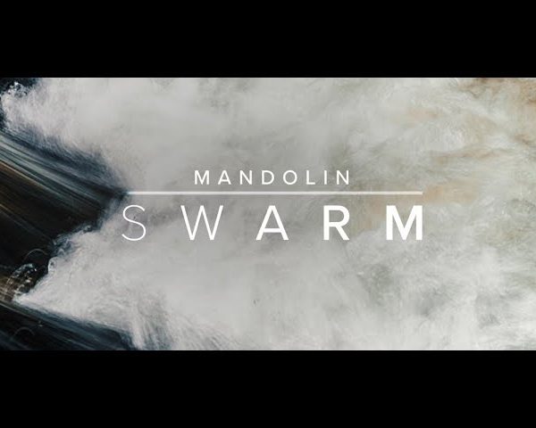 Spitfire Audio - Mandolin Swarm (KONTAKT)